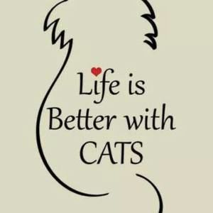 Meet your Posher, Joe n tracy